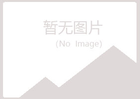 鹤壁山城掠过化学有限公司